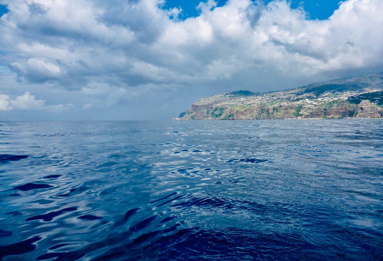 Vista Azul Βίλα Arco da Calheta  Εξωτερικό φωτογραφία